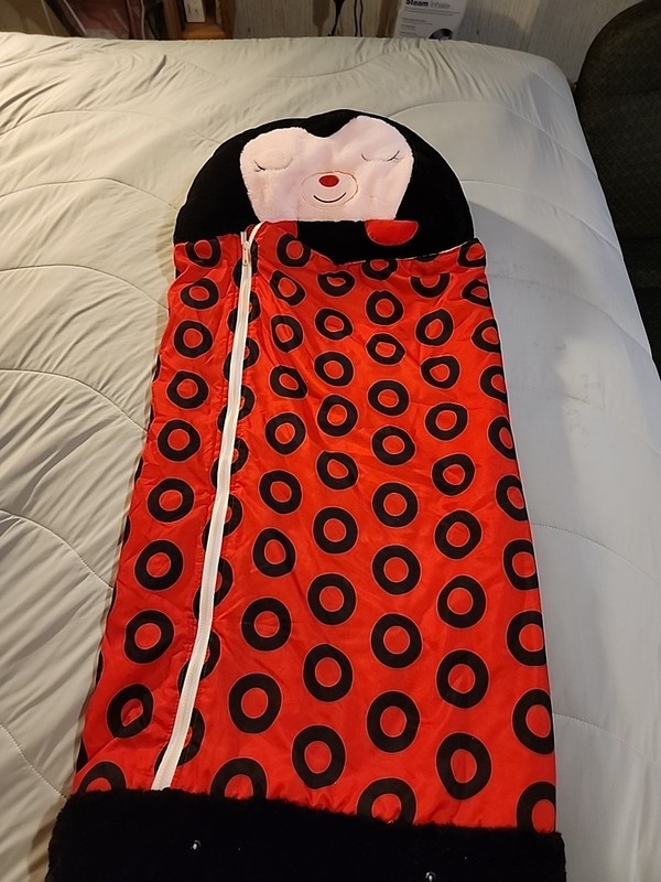 Happy Nappers Ladybug Pillow & Sleeping Bag 2-in-1 - Medium 54"x20" for Kids 3+ gallery