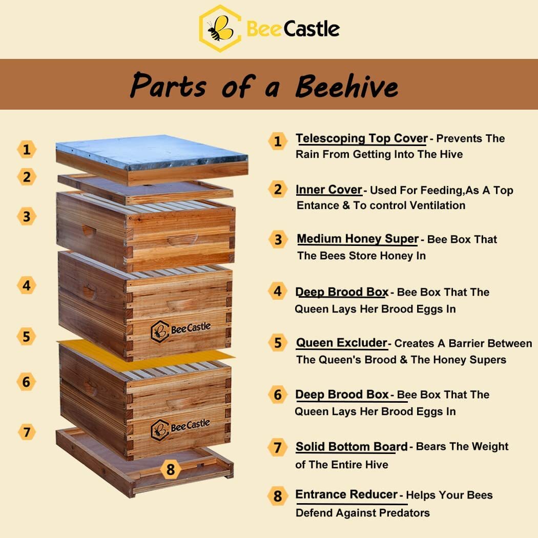 8-Frame Beeswax Coated Langstroth BeeHive Kit (2 Deep Boxes and 1 Medium Box) gallery
