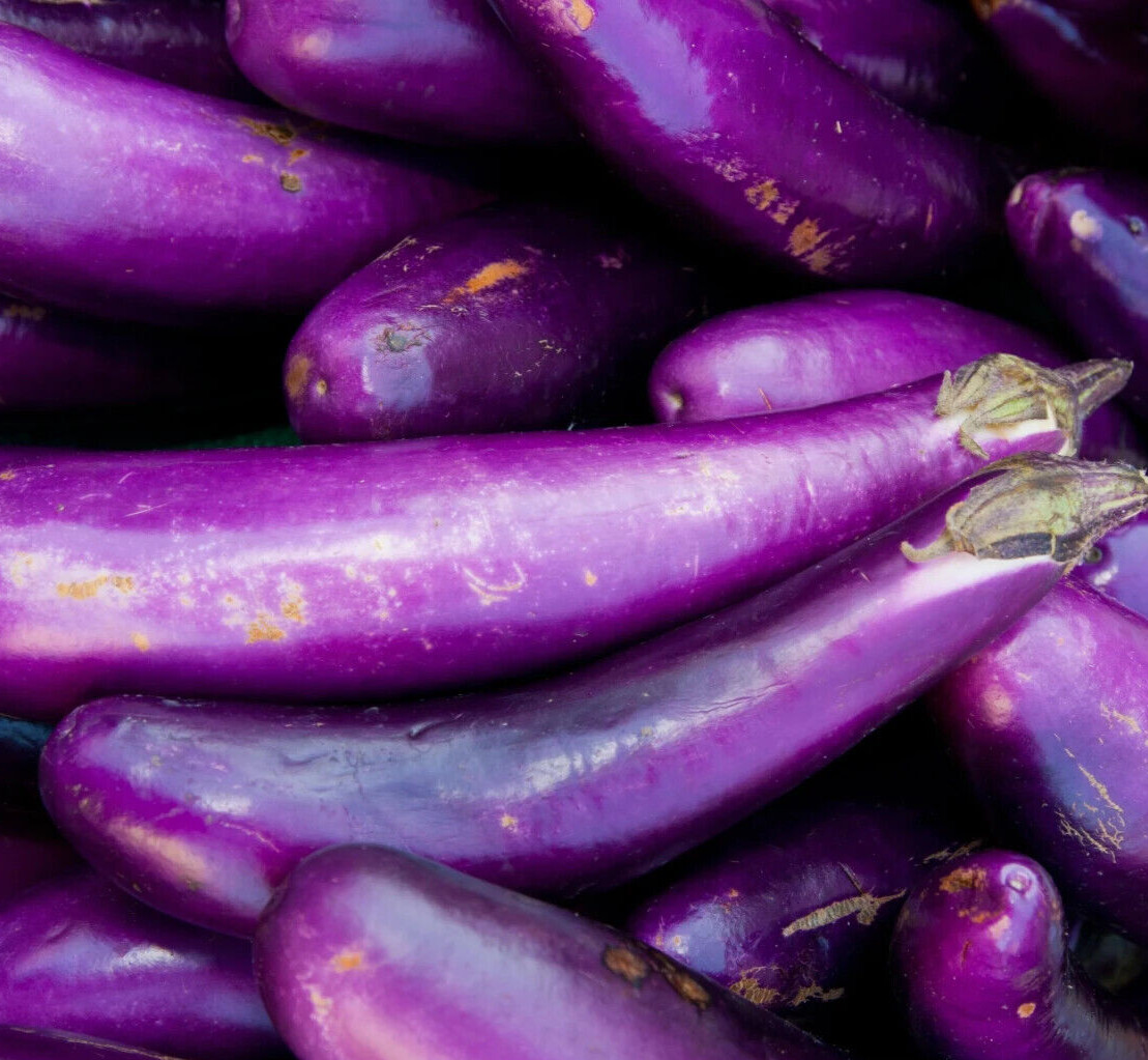 LONG PURPLE EGGPLANT SEEDS 200+ vegetable GARDEN Solanum Melongena FREE SHIPPING gallery