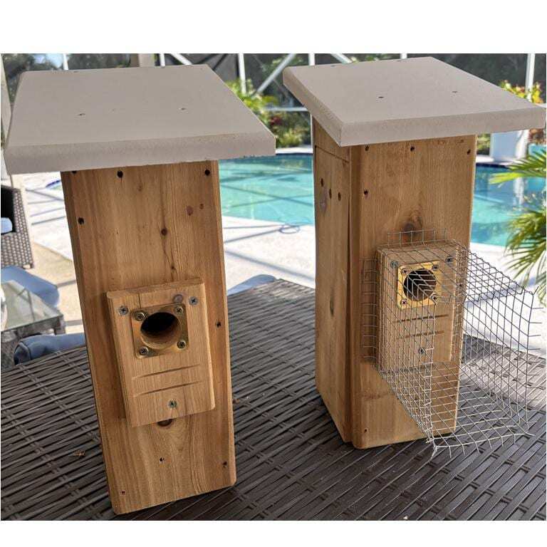 Camera-Ready Bluebird House | Cedar | Insulated | Predator Guard | Weatherproof gallery