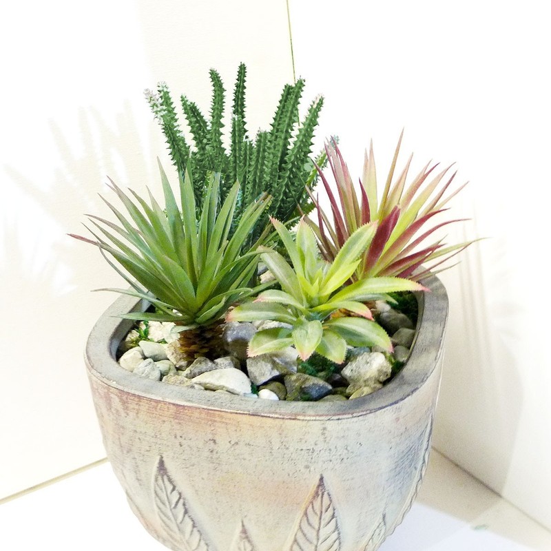4 Mix Artificial Grass Plastic Succulents Plants Cactus and Agaves gallery