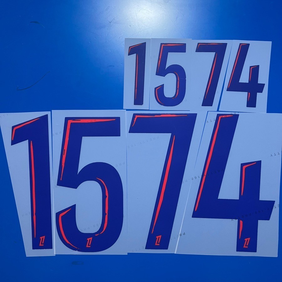 2024-25 Lyon Name Number Personalise Customise Player Size Nameset Print gallery