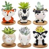 Photken Small Ceramic Succulent Pots - 6 Pack 3 Cartoon Animal Shape Planters gallery