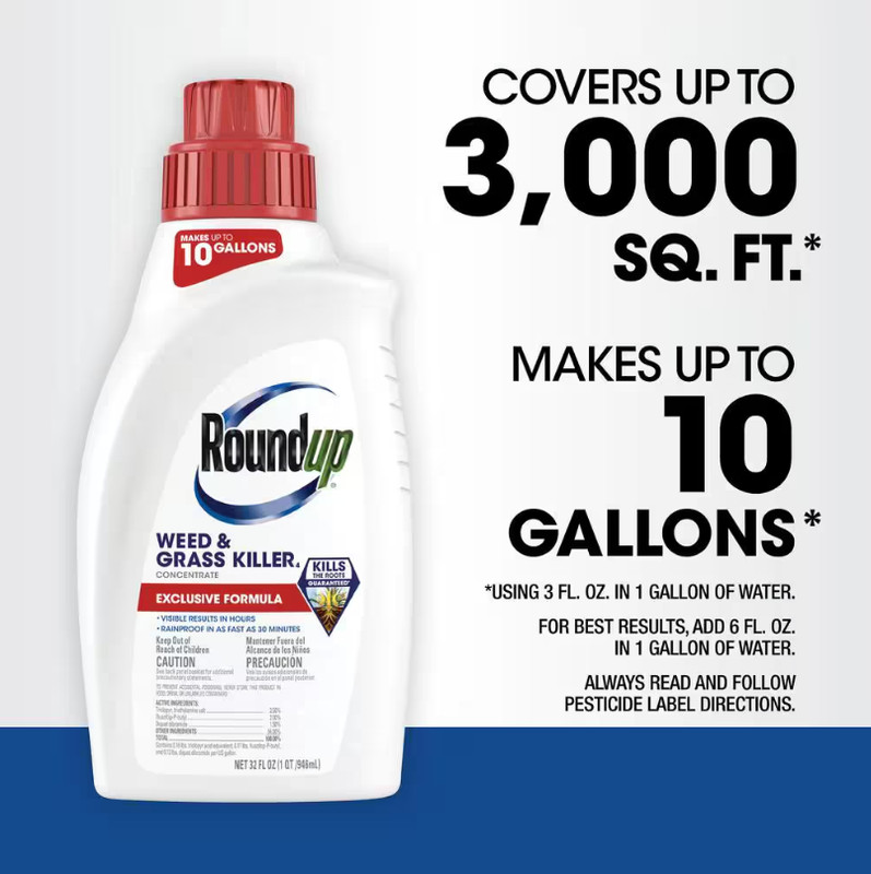 Roundup Weed& Grass Killer Concentrate Makes 10 Gallons - 32 oz. gallery