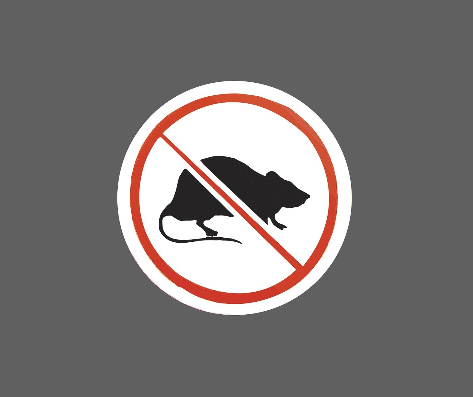 No Rats Sticker Snitch Waterproof NEW - Buy Any 4 For $1.75 EACH Storewide! gallery