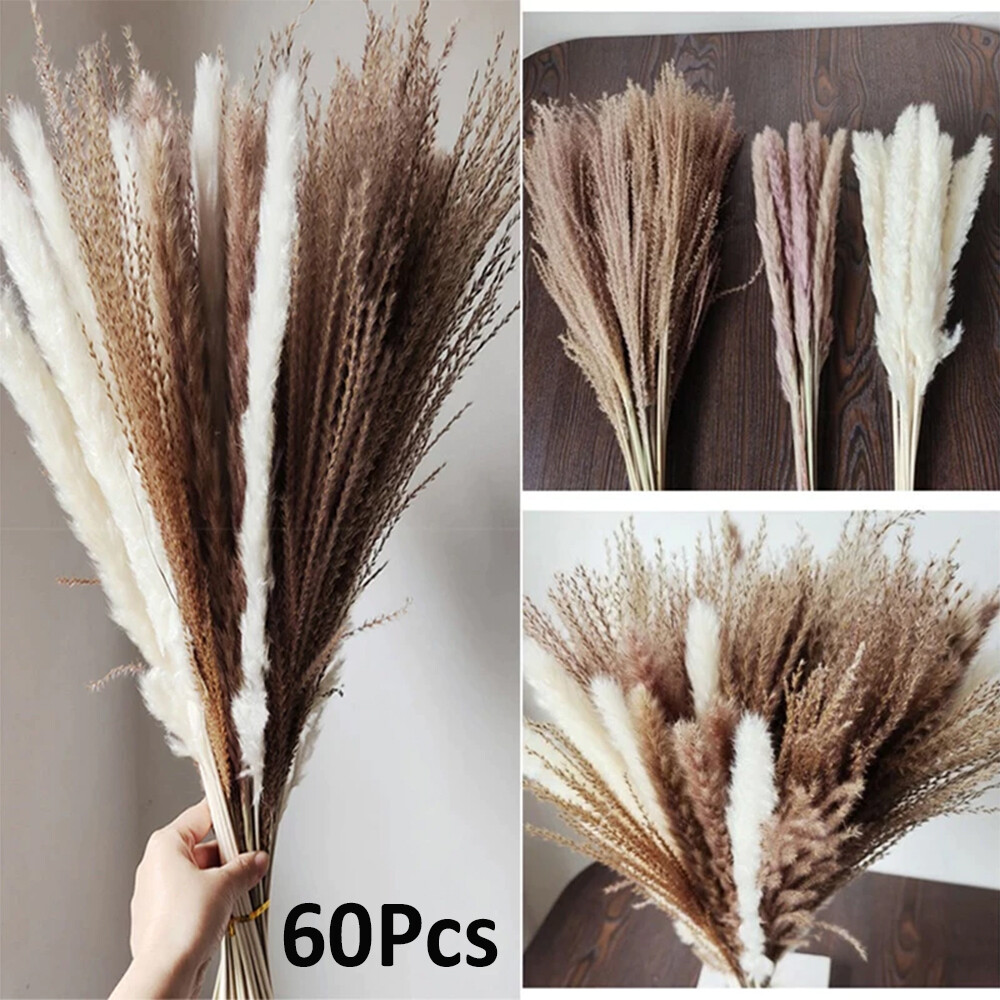 Natural Reed Dried Flower Dusting Broom Living Room Bouquet Decorative Piece gallery