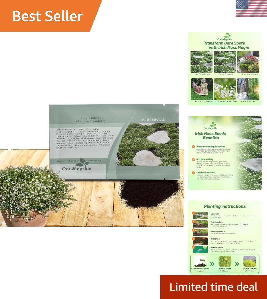 5000 Pcs Irish Moss Seeds - Ideal Mat-Forming Lawn Alternative for Gardens gallery