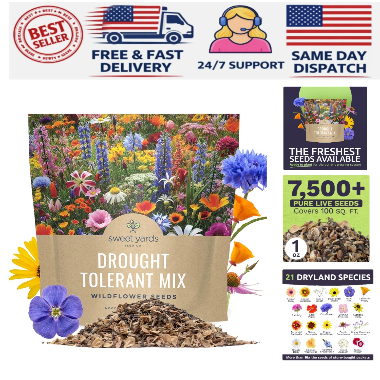 Extra Large Wildflower Seed Mix – Over 21 Species for Colorful Sustainability gallery