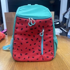 Cute Watermelon Sun Squad Cooler Backpack Very Nice 24 Can Beach Picknick Target
