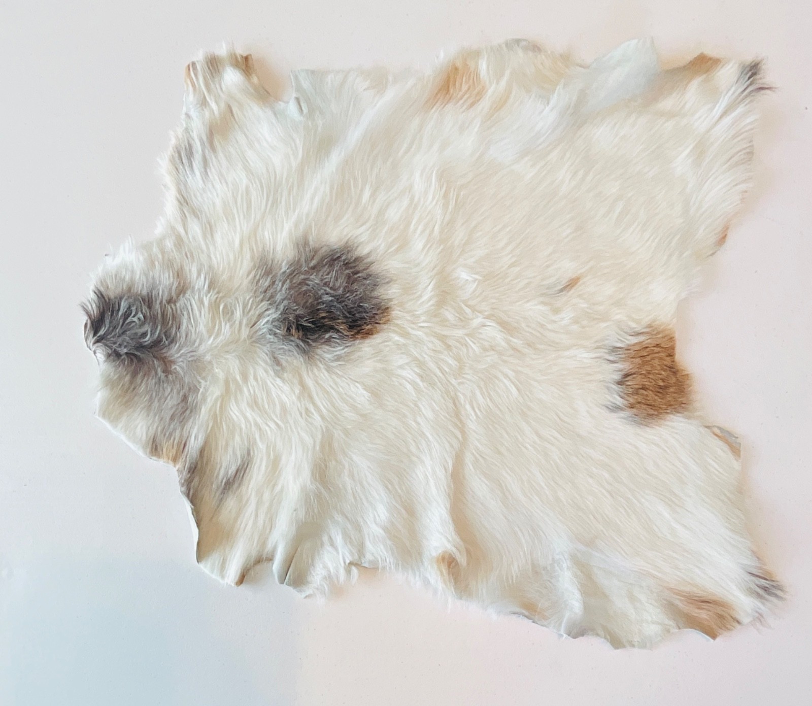 Genuine Leather Goat Pelt Hide Rug White with tan & brown spots 24”x21” gallery