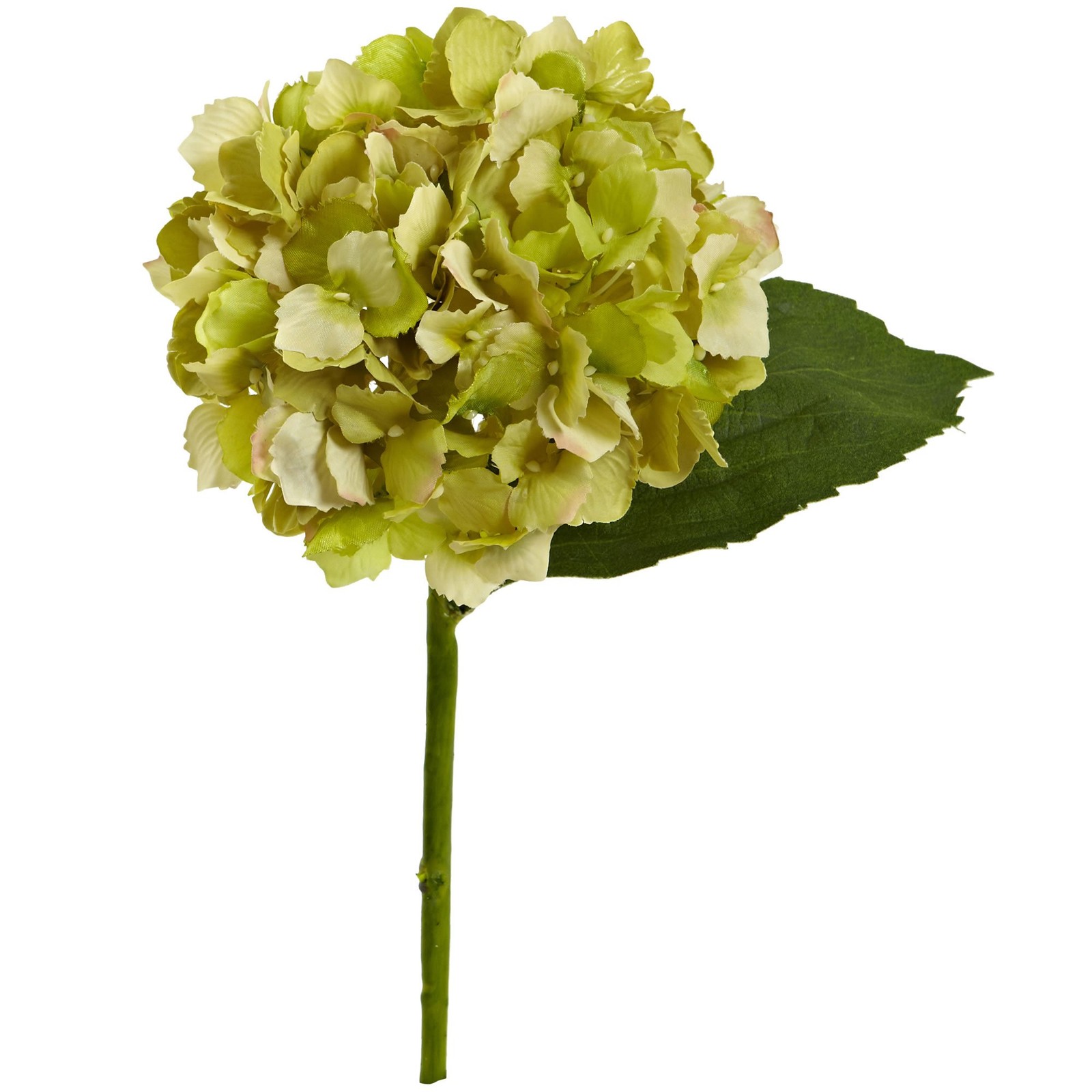Nearly Natural 12 Hydrangea Flower Set Of 12 Artificial Plant Green 2189-S12-Gr gallery