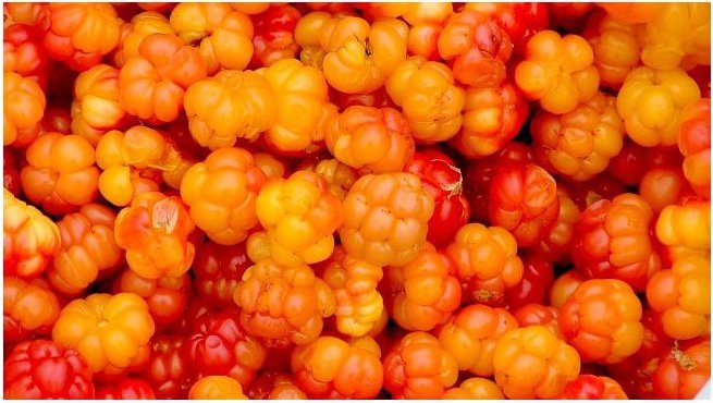 2 X 200 grams Cloudberry Jam from Norway, Hilla, Molte, Multe, Moltebeeren gallery