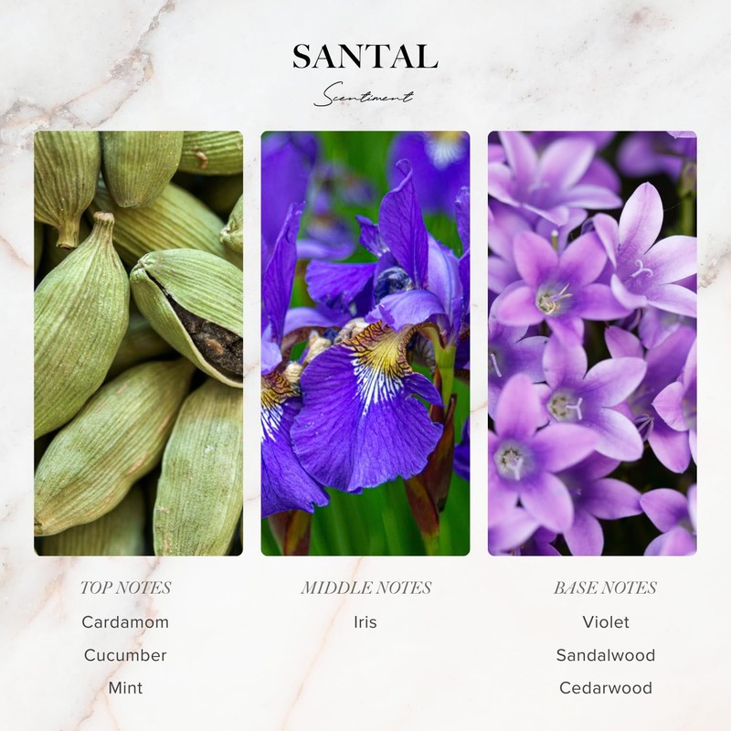 Diffuser Oil Sample Set – 3 Pack Royalty, Brilliance, Santal, Pineapple – Saf... gallery