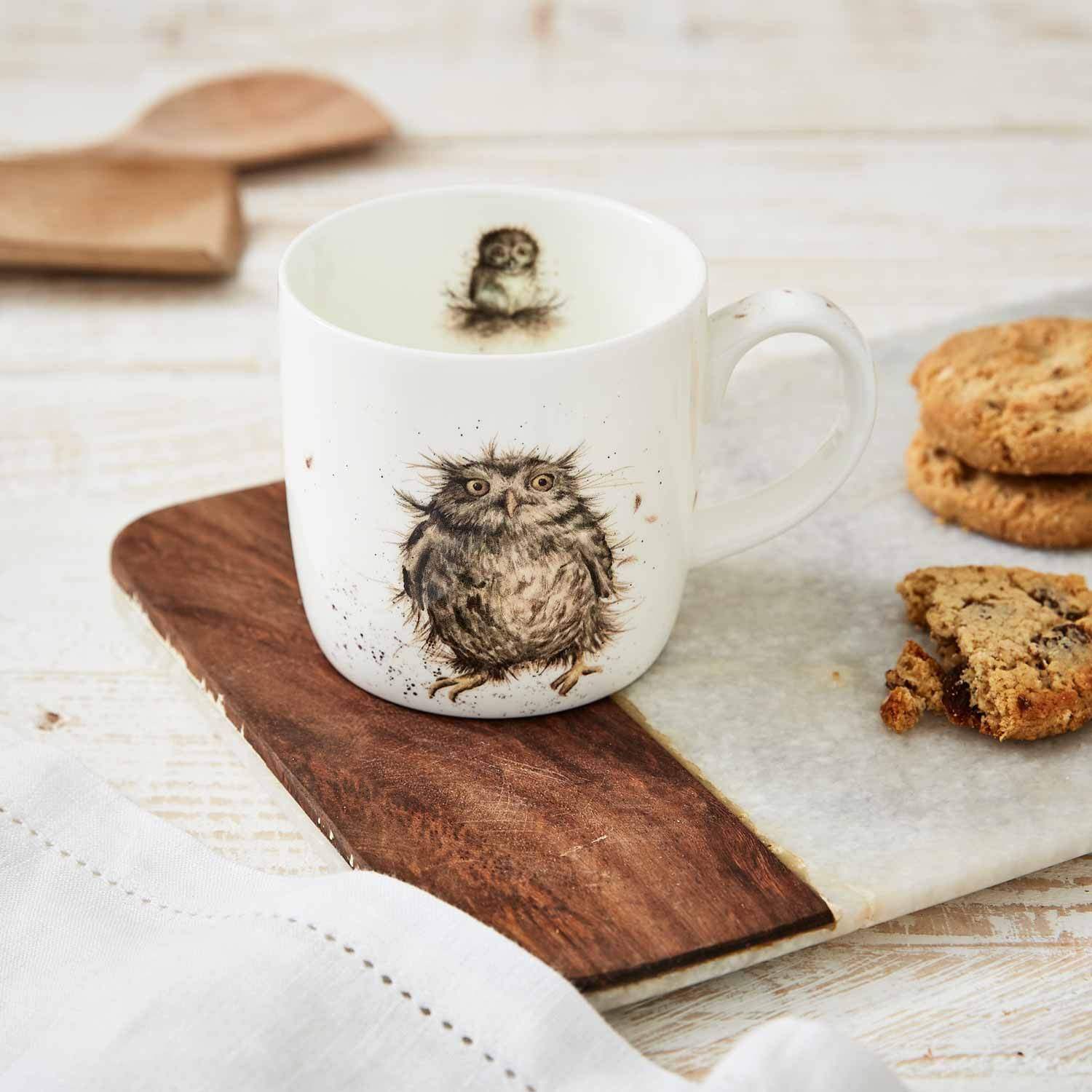 What A Hoot - Owl Mug - Royal Worcester 14 oz gallery