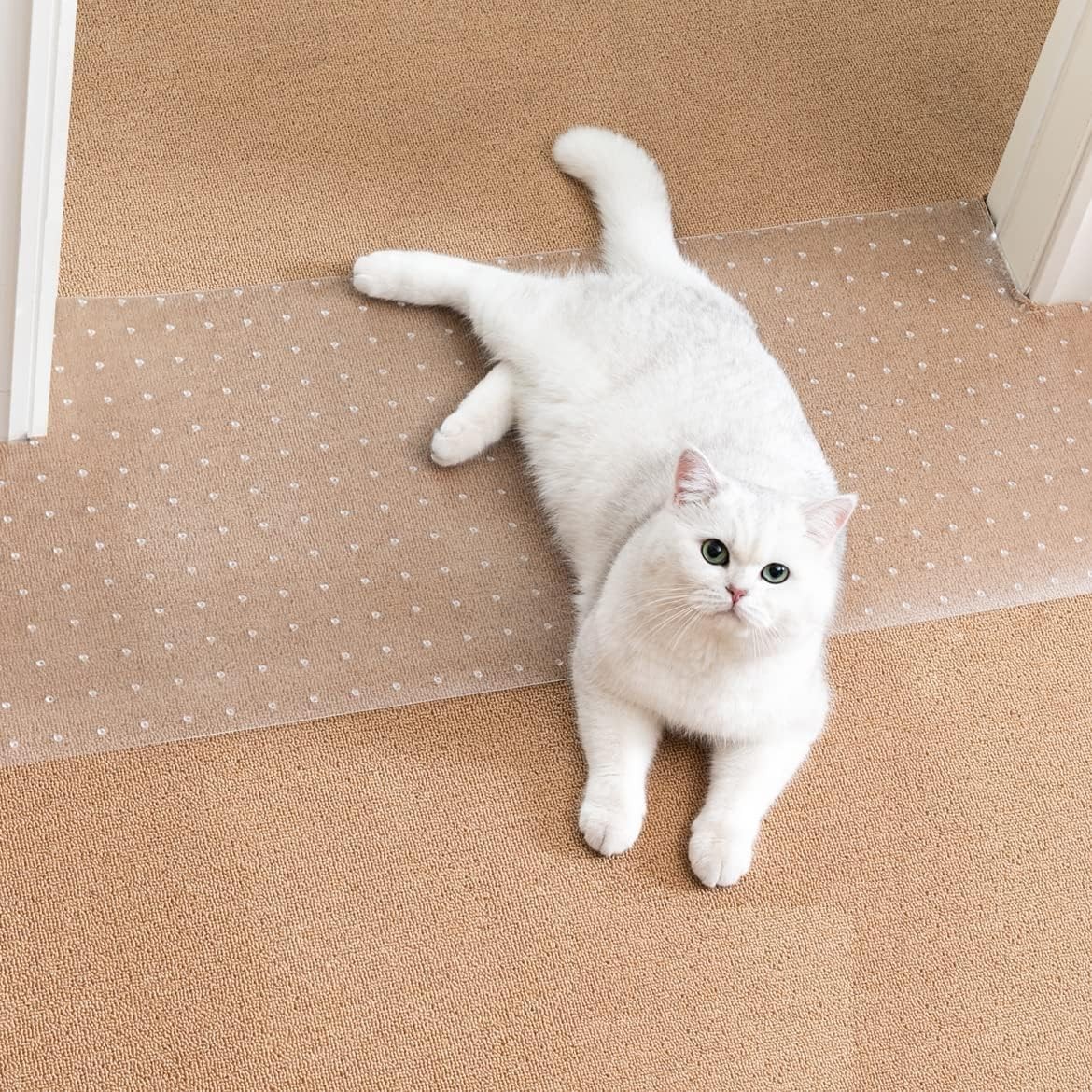 Carpet Protector for Pets - Cat Scratch Guard Mat, Anti Scratch Under Door gallery