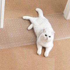 Carpet Protector for Pets – Cat Scratch Guard Mat, Anti Scratch Under Door