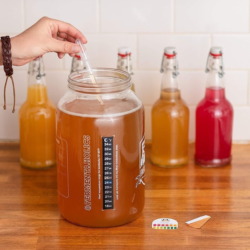 Jun Kombucha SCOBY – USDA Certified Organic Live Jun Kombucha Starter Culture gallery