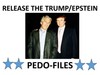 Release the Epstein Files - Anti-Trump 2025 18x24 Yard Sign w/ stake gallery
