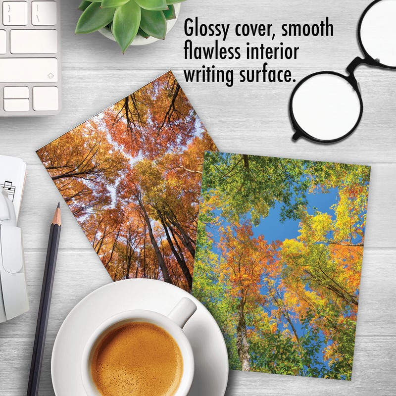 10 Assorted All Occasion Blank Note Cards with Envelopes - OVER THE TOP M2006 gallery