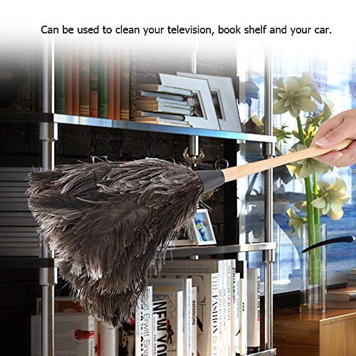 Ostrich Duster, 22'' Super Soft Handmade Washable Non-electrostatic Ostrich gallery