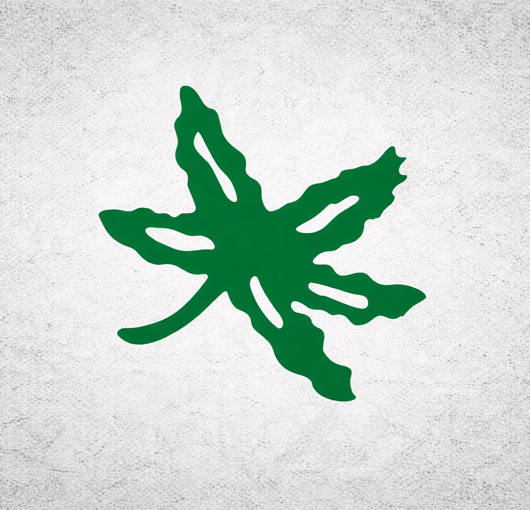 Ohio Buckeye Leaf Vinyl Decal Sticker Car Window Laptop Waterproof 2"-8" gallery