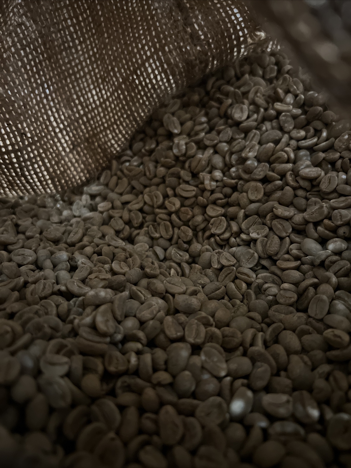 4 LBS UNROASTED GREEN COFFEE BEANS From Nicaragua gallery