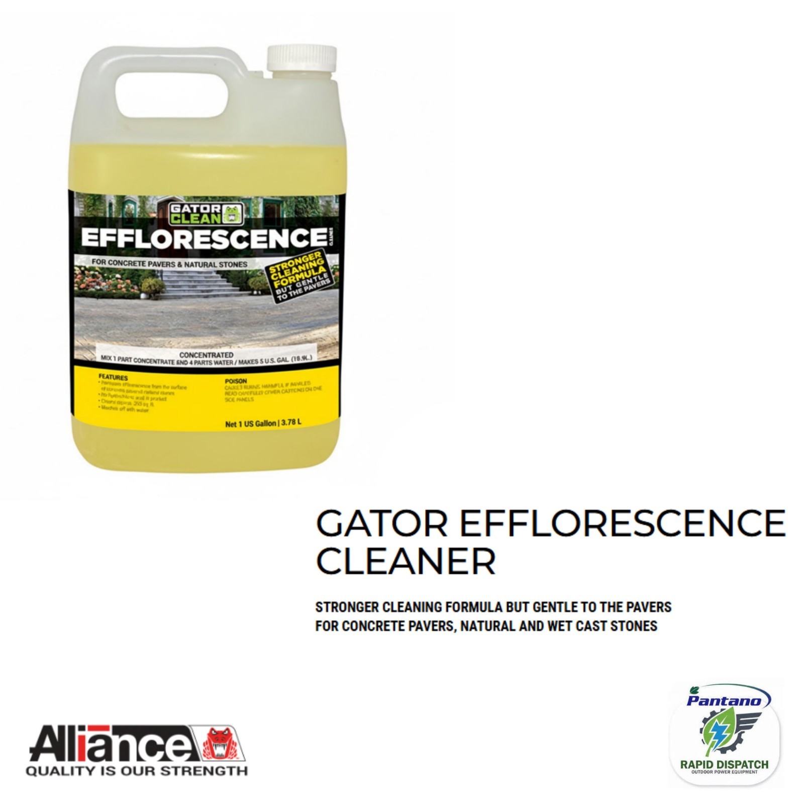 Alliance Gator Clean Efflorescence Cleaner 1 Gal for Pavers & Natural Stone gallery