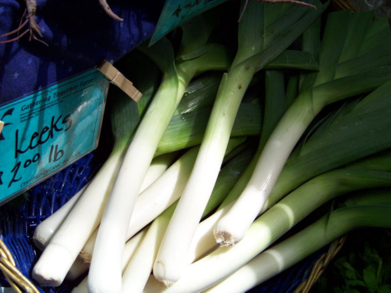 400 SEEDS - leek, LARGE AMERICAN FLAG LEEKS GroCo USA - BUY 15-SHIPS FREE gallery