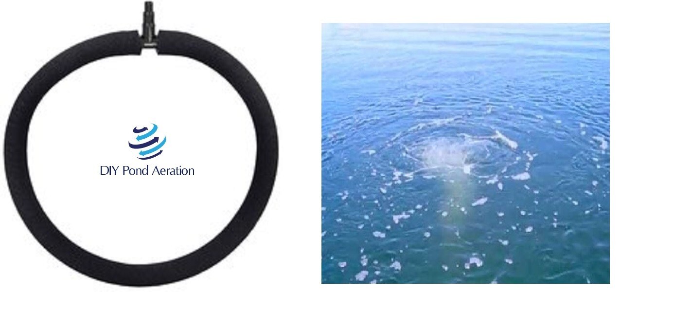 Pond Aerator Diffuser 16" Diameter Ring Aeration Fine bubble 3/8" inlet gallery