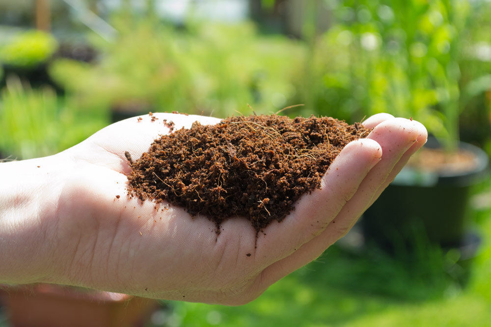 (1) 5kg Brick (11 LBS.) Coconut Coir Coco Coir Soil Amendment Growing Medium gallery