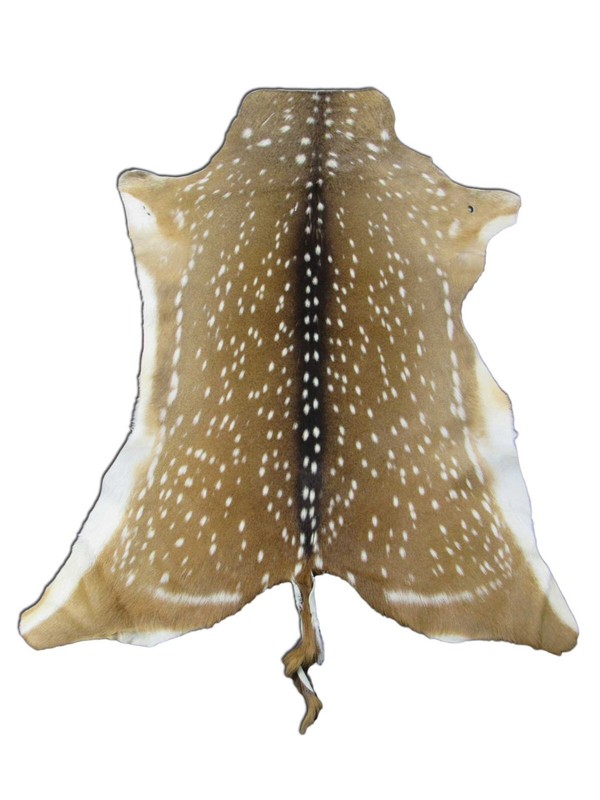 Axis Deer Skin Hide Average Size: 37" X 30" Top Grade Axis Deer Hide Top Grade gallery