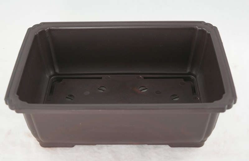 Rectangular Plastic Bonsai / Succulent Pot 10.5"x 7.75"x 3.5" - Dark Brown gallery