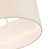 Used Livex Lighting 49809-91 Meadow - 1 Light Semi-Flush Mount in Minimalist gallery