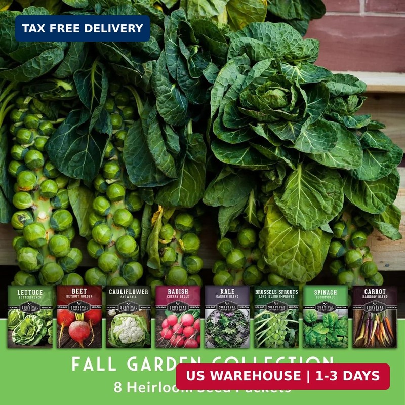Fall Vegetable Seeds Collection - 8 Packs of Non-GMO Heirloom Cool Weather Seed gallery