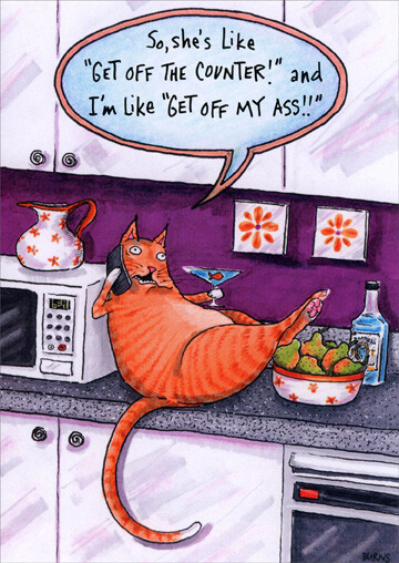 Cat on Counter Funny Birthday Card - Greeting Card by Oatmeal Studios gallery
