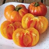 Pineapple - Beautiful and Delicious - +25 Fresh Seeds - 10% off 3 or more items! gallery