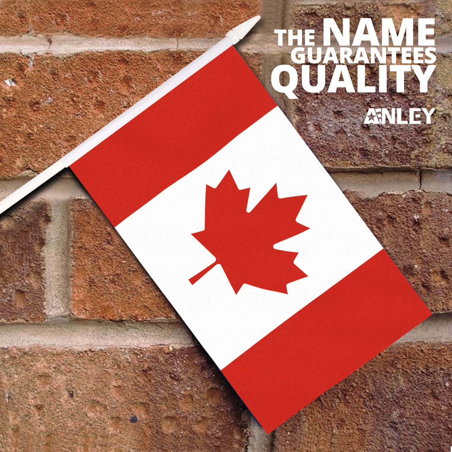Anley Canada Mini Flag 12 Pack Hand Held Small Miniature Canadian Flags on Stick gallery