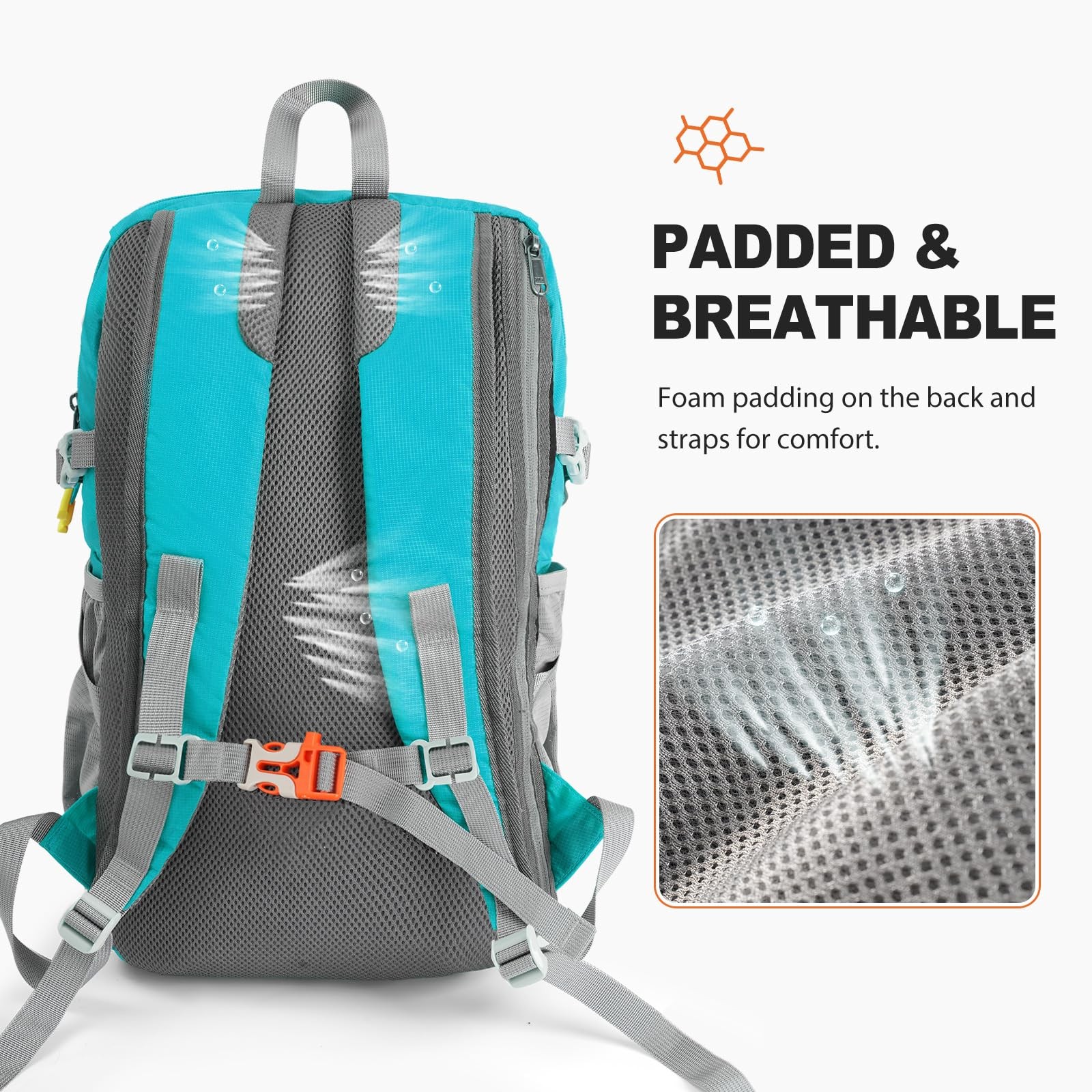 20L Hiking Backpack Lightweight Packable Hiking Daypack, Foldable Small Trave... 2