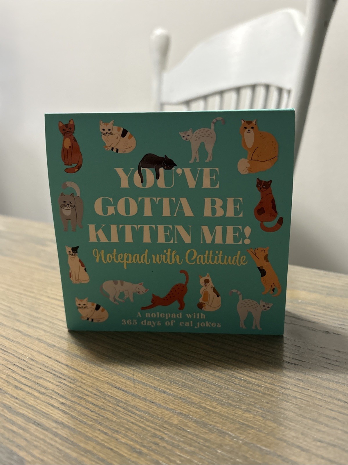 You've Gotta Be Kitten Me! Notepad With Cattitude - 365 Days Of Cat Jokes NEW gallery