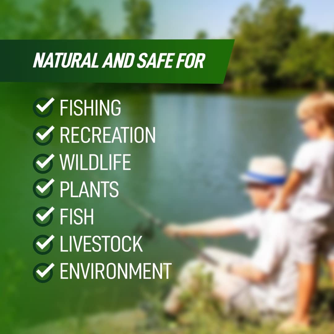 4X Pond Cleaner - Reduces Muck Sludge for a Clean, Natural Look - Super Conc... gallery