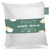 Throw Pillow Inserts 22x22 Inch Set of 2 Down Feather Cotton ComfyDown Fill Soft gallery