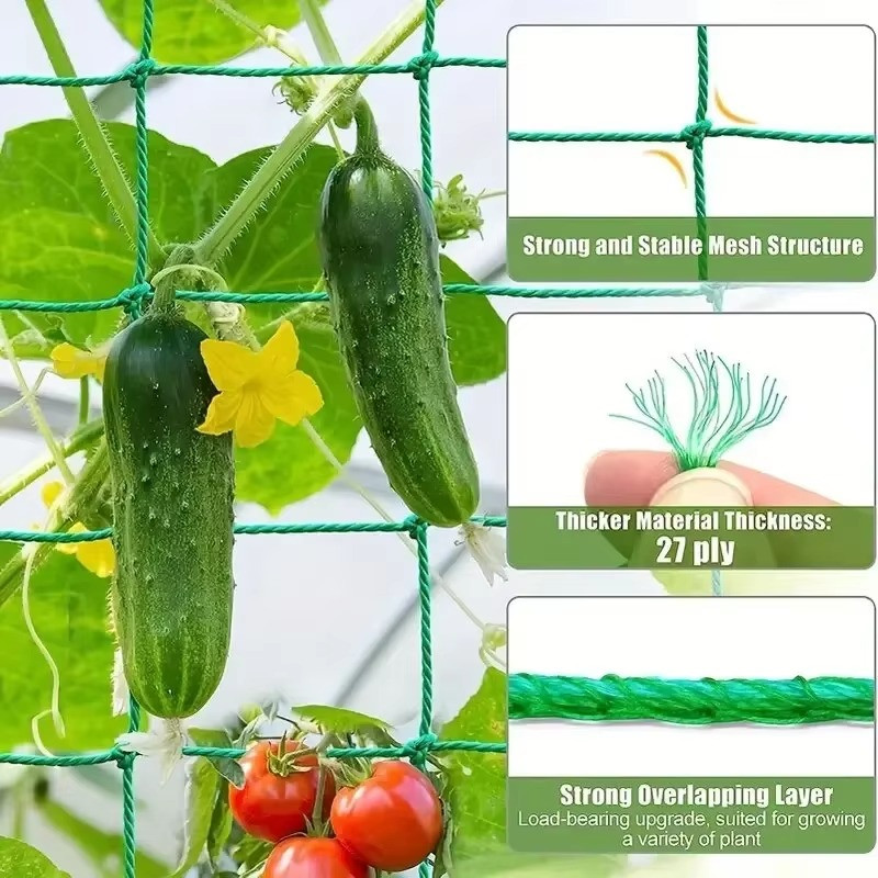 Plant Trellis Netting Heavy Duty Polyester Grow Mesh for Climbing Vegetables gallery