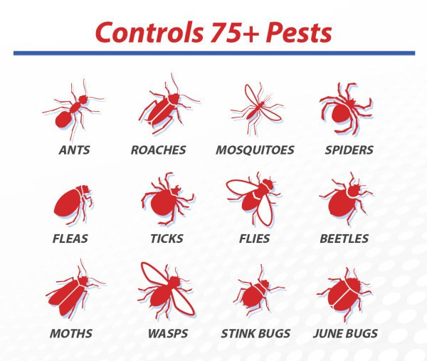 16 oz Bifen IT Insecticide Pest Control Stink Bugs Earwigs Etc. Generic Talstar gallery