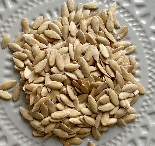 40 Heirloom Schoons Hardshell Melon Seeds Rare Old Timey Cantaloupe - 4-5 Pounds gallery