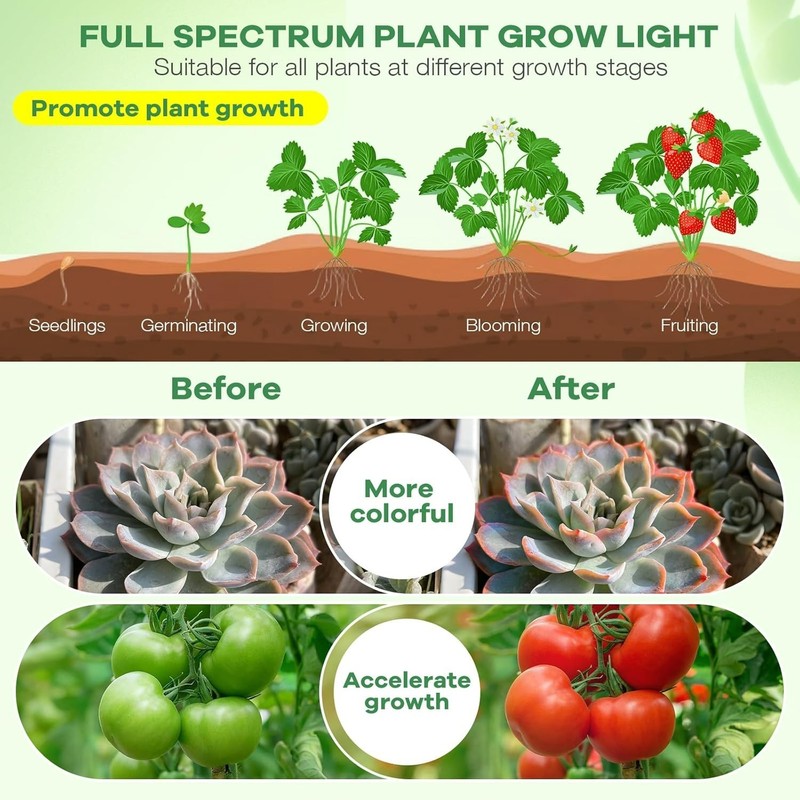 Space-Saving Tabletop LED Grow Lights - 4 Light Sources with Dimmer Control gallery