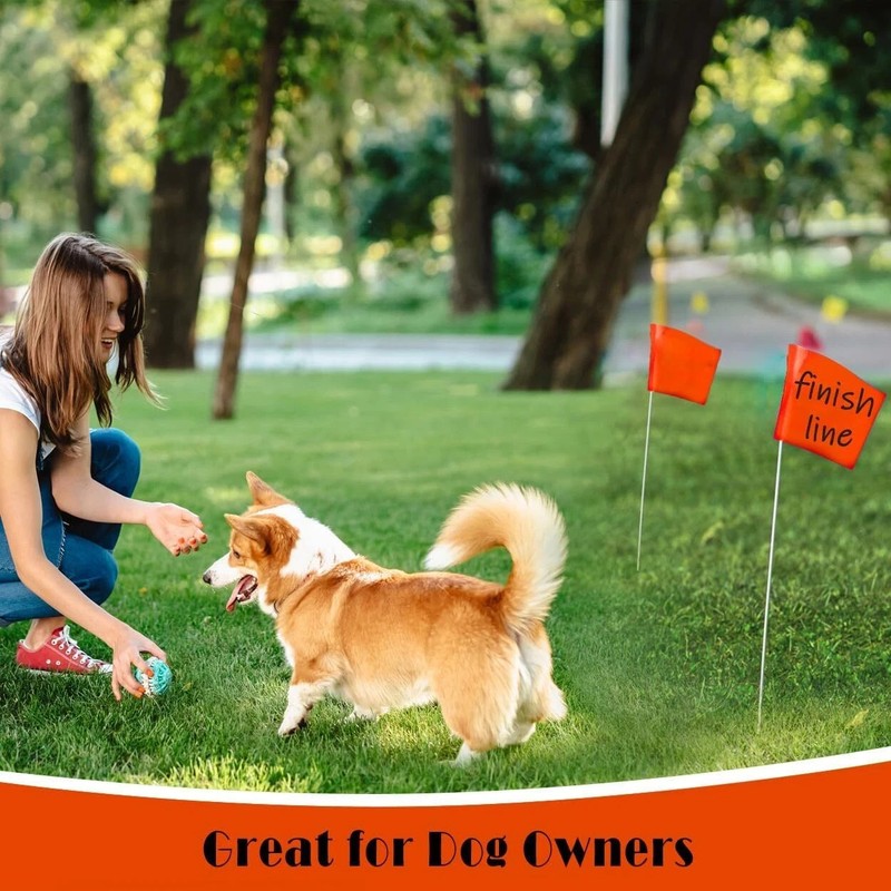 100Pack Marking Flags Orange Marker Flags - 15X4X5 Inch Lawn Flags Landscape gallery