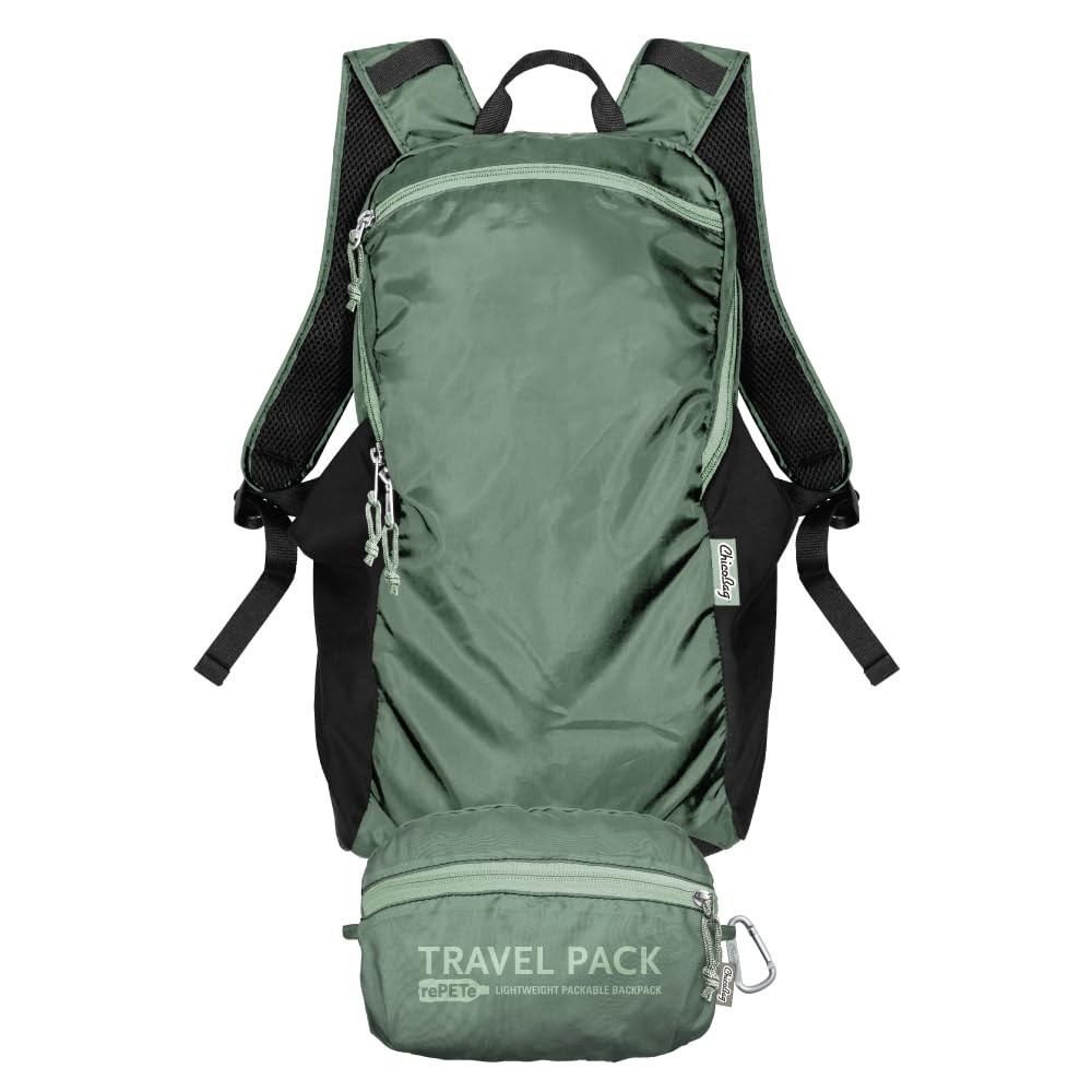 EcoFriendly Travel Pack Backpack Lightweight Packable Daypack Refine Sage Bag