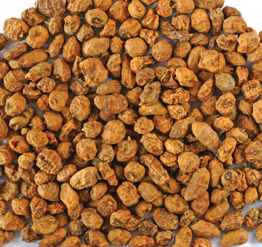 SeedRanch Chufa Seeds | Tiger Nut - 5 Lbs. gallery