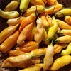 SUGAR RUSH PEACH HOT PEPPER SEEDS (20) / SWEET AND SPICY / SUPER RARE gallery