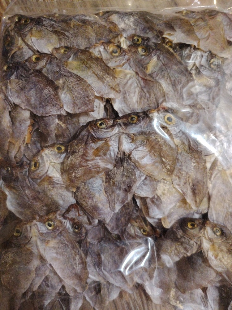 Dried Fish Danggit / Rabbit Fish salted From Cebu